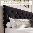 Full-Size Bed Frame, Vintage Velvet Upholstered Bedframe, 2 Storage Drawers, Wood slats, No Box Spring, Noise-Free, Black
